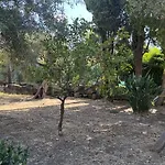 Lejlighed Jolinda Guest House, Accogliente Con 2 Da Letto, Vista Mare, Vicino Al Centro Di Con Piscina Fuori Terra