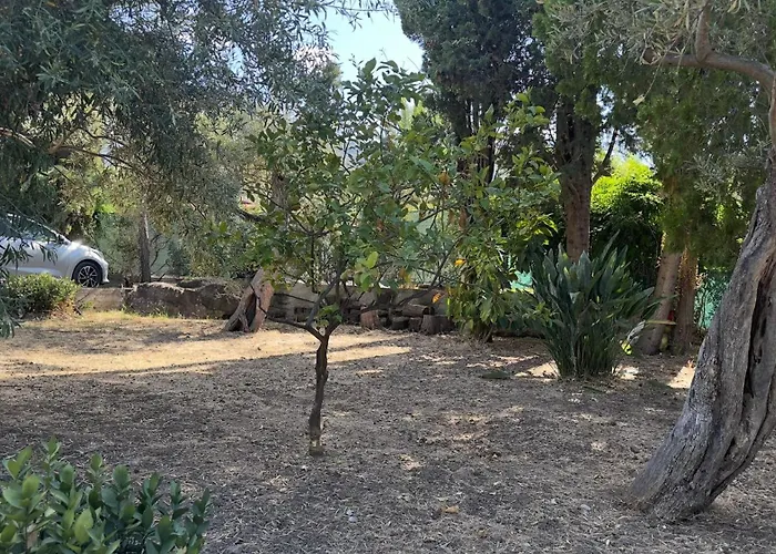 Appartamento Jolinda Accogliente Vista Mare, Vicino Al Centro Di Con Piscina Fuori Terra